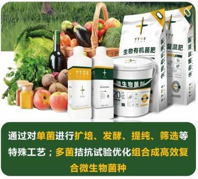 從辣椒加工到菌肥生產(chǎn)，她用五年搶占南方市場！_南方plus_南方+生物有機(jī)肥料研發(fā)